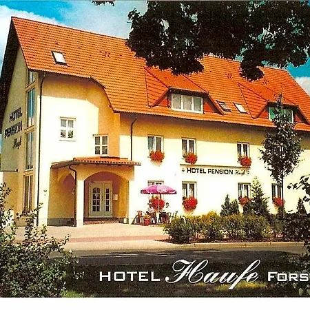 Hotel Haufe Forst (Lausitz)